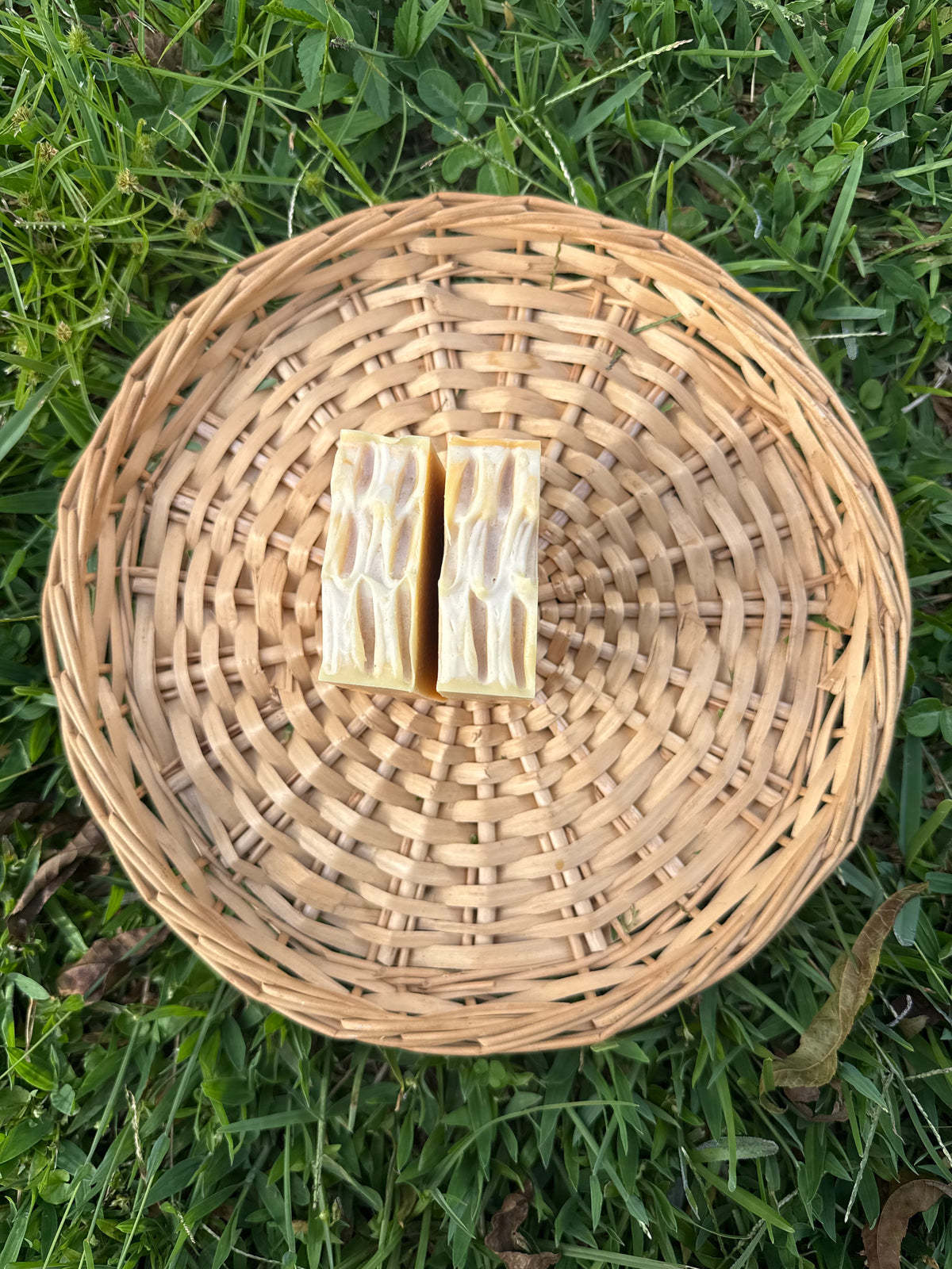 Ray of Sunshine Goat Milk Soap